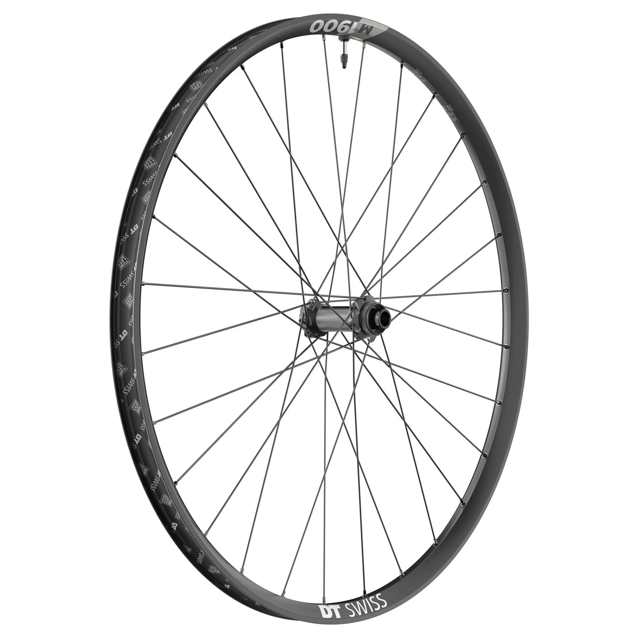 DT Swiss M 1900 Spline 30 Front Wheel - 29" 15 x 100mm Center-Lock Black