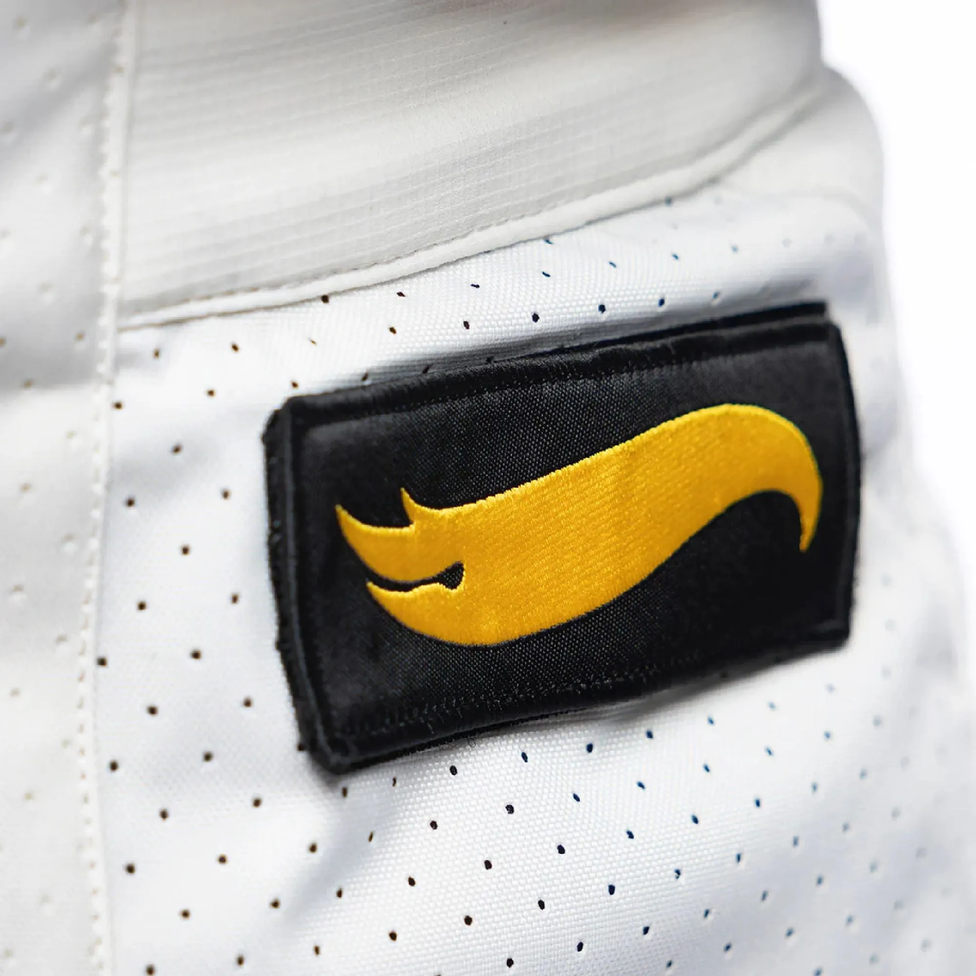 Fasthouse Grindhouse Hot Wheels Pant
