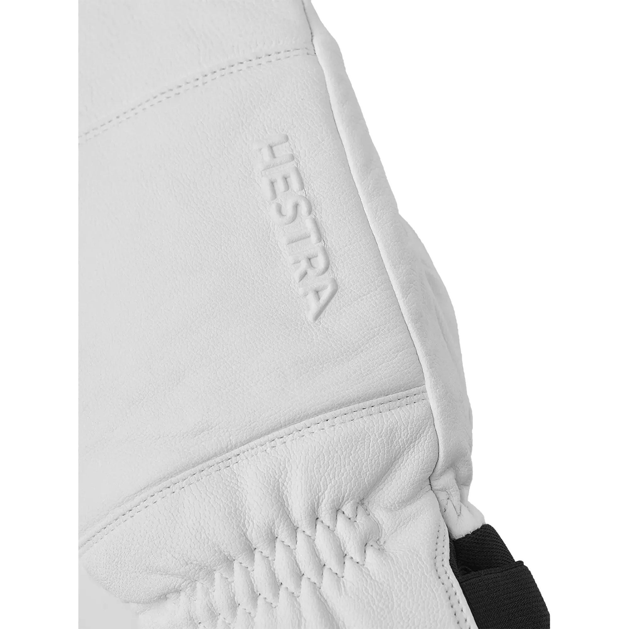Hestra Alpine Pro Omni Mitt