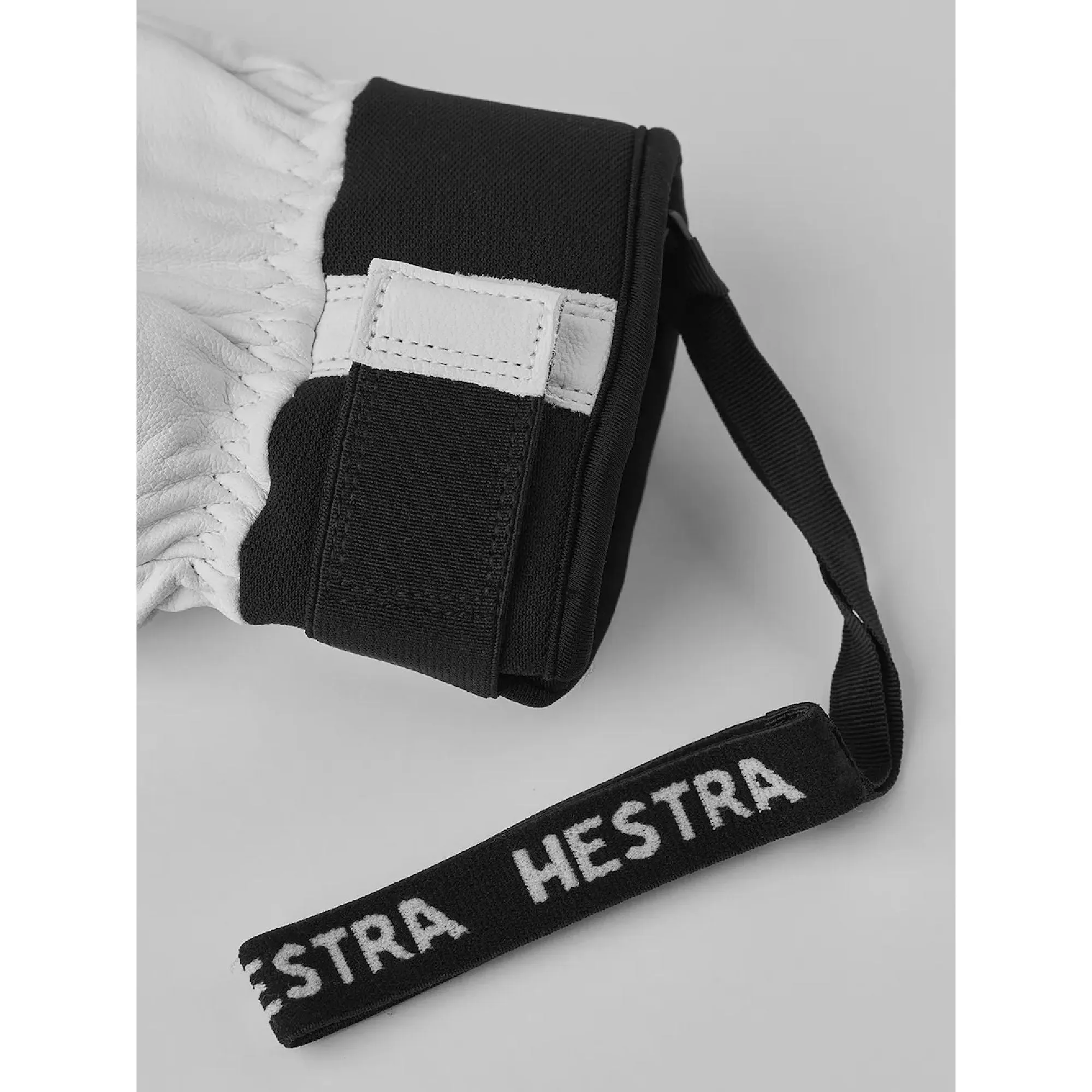Hestra Alpine Pro Omni Mitt