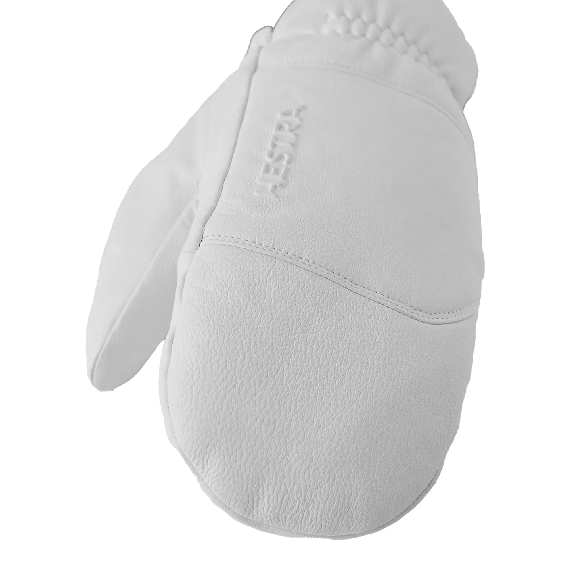 Hestra Alpine Pro Omni Mitt