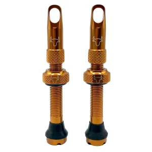 Hold Fast Cycling Tubeless Valve Stem
