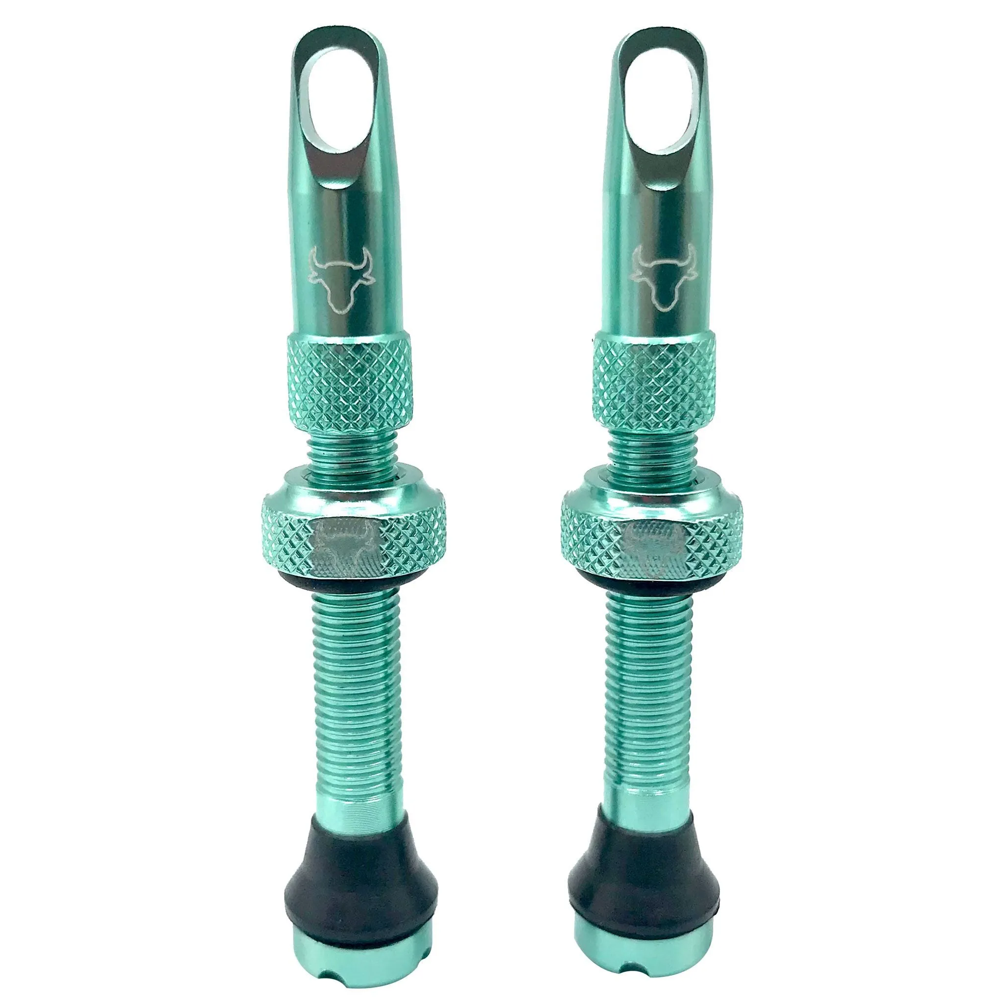 Hold Fast Cycling Tubeless Valve Stem