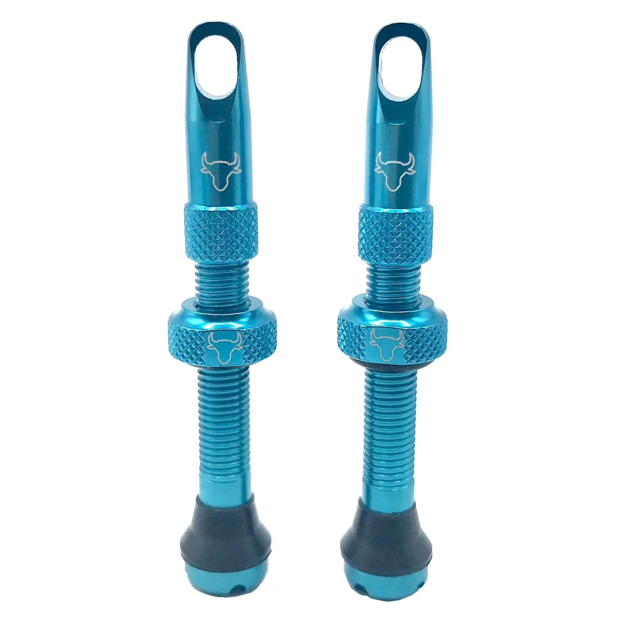 Hold Fast Cycling Tubeless Valve Stem
