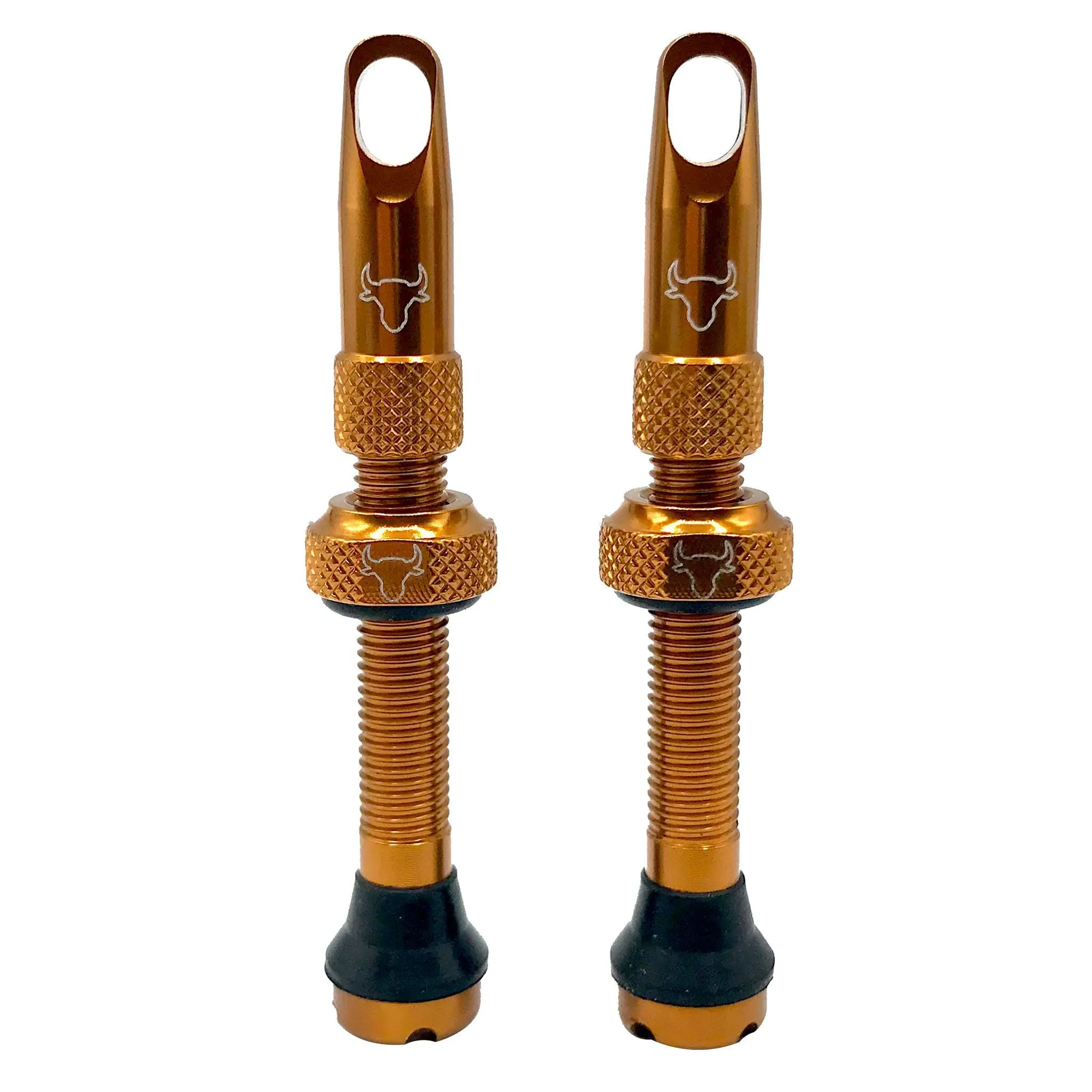 Hold Fast Cycling Tubeless Valve Stem