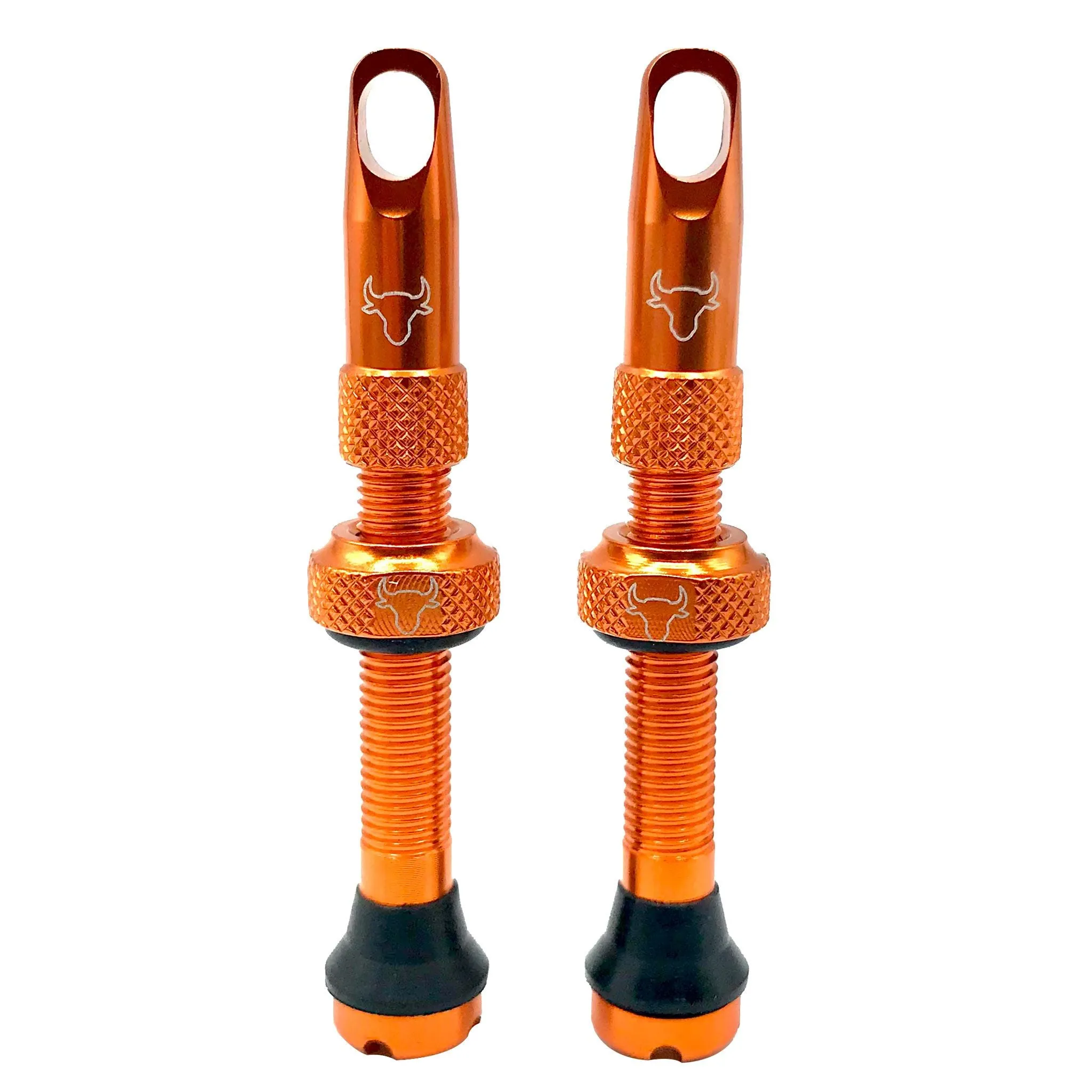 Hold Fast Cycling Tubeless Valve Stem