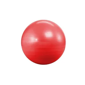 Morgan Sports Gym Exercise Ball 55cm