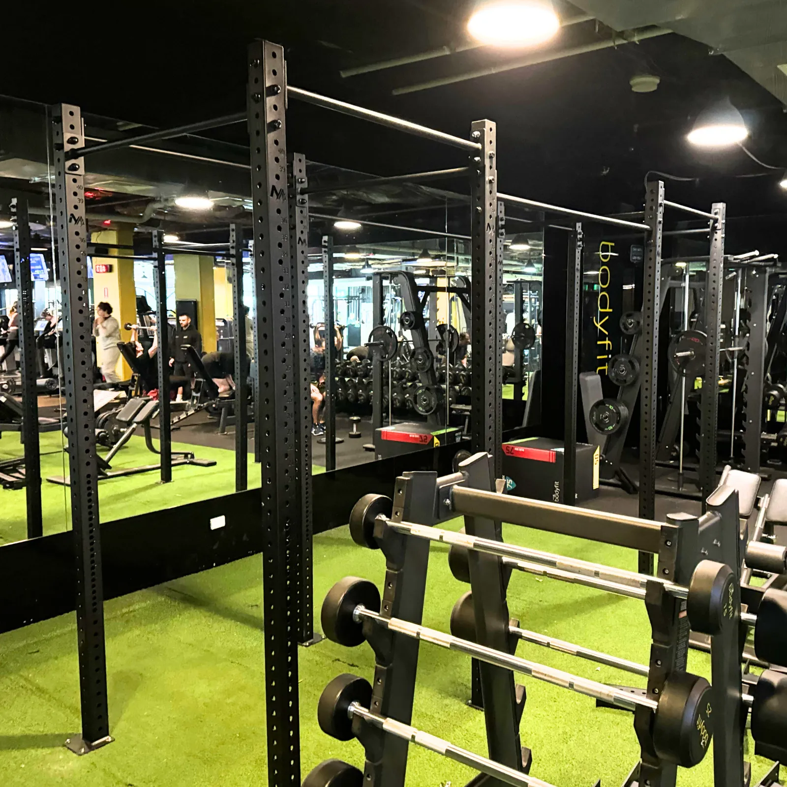 Muscle Motion RIG75F2 Freestanding Rig 2 Cells