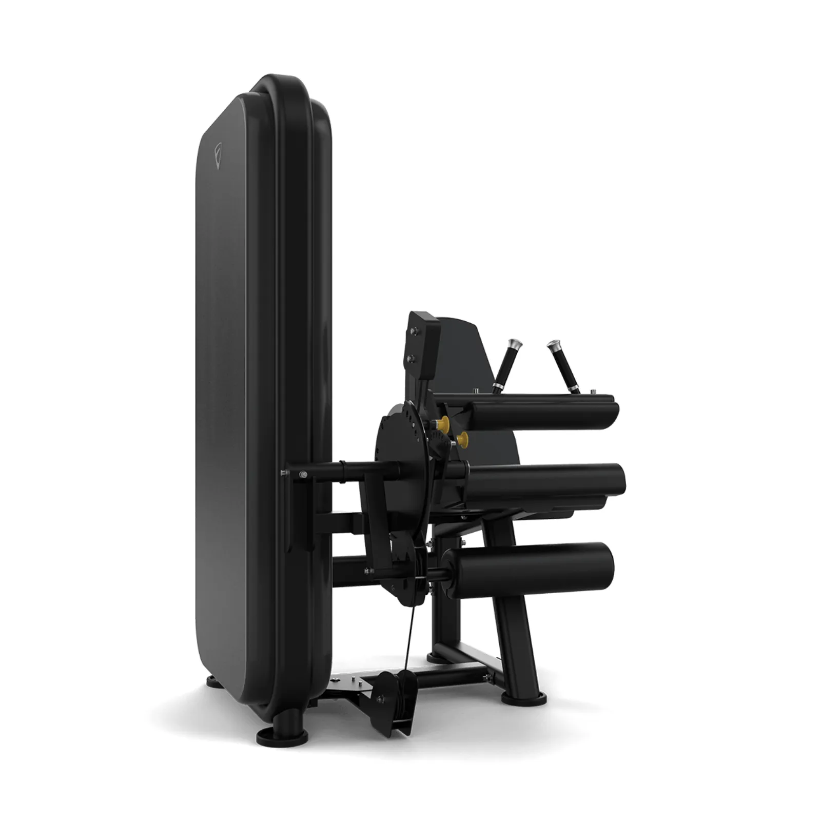 Vision Fitness Leg Extension / Leg Curl